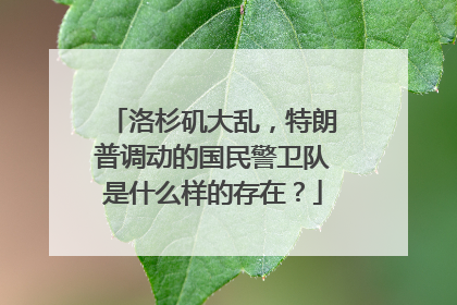 洛杉矶大乱，特朗普调动的国民警卫队是什么样的存在？