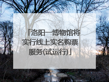 洛阳一博物馆将实行线上实名购票服务(试运行)