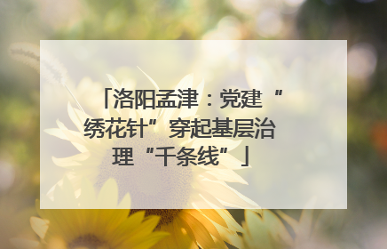 洛阳孟津：党建“绣花针”穿起基层治理“千条线”