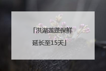 洪湖莲蓬保鲜延长至15天