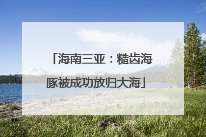 海南三亚：糙齿海豚被成功放归大海