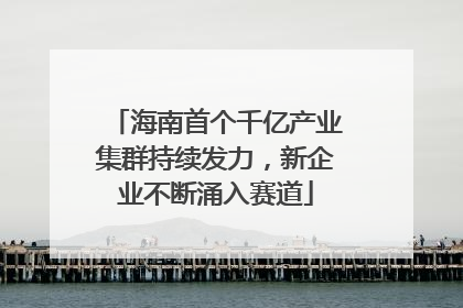 海南首个千亿产业集群持续发力，新企业不断涌入赛道