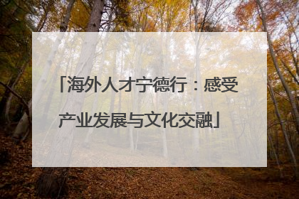 海外人才宁德行：感受产业发展与文化交融