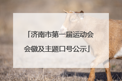 济南市第一届运动会会徽及主题口号公示