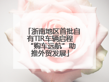 浙南地区首批自有TIR车辆启程 “购车远航”助推外贸发展
