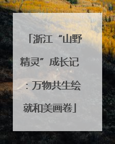 浙江“山野精灵”成长记：万物共生绘就和美画卷