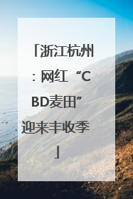 浙江杭州：网红“CBD麦田”迎来丰收季