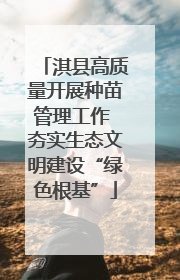 淇县高质量开展种苗管理工作 夯实生态文明建设“绿色根基”