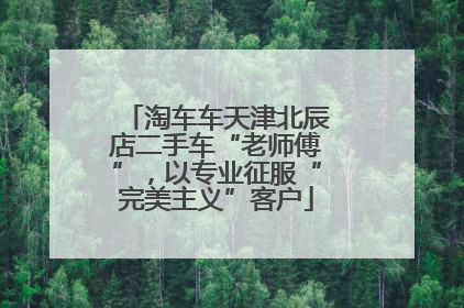 淘车车天津北辰店二手车“老师傅”，以专业征服“完美主义”客户