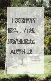 深蓝智库报告：在线旅游业掀起AI竞速战