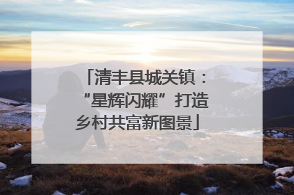 清丰县城关镇：“星辉闪耀”打造乡村共富新图景