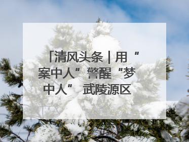 清风头条｜用“案中人”警醒“梦中人” 武陵源区百名干部“零距离”接受警示教育