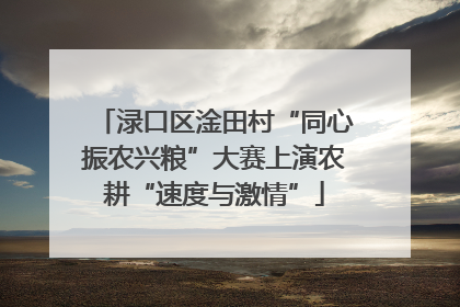 渌口区淦田村“同心振农兴粮”大赛上演农耕“速度与激情”
