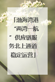 渤海湾港“两湾一航”供应链服务北上通道稳定运营