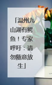温州九山湖有鳄鱼！专家呼吁：请勿随意放生