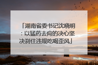湖南省委书记沈晓明：以猛药去疴的决心坚决刹住违规吃喝歪风