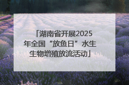 湖南省开展2025年全国“放鱼日”水生生物增殖放流活动