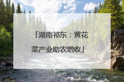 湖南祁东：黄花菜产业助农增收