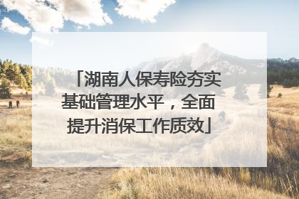 湖南人保寿险夯实基础管理水平，全面提升消保工作质效