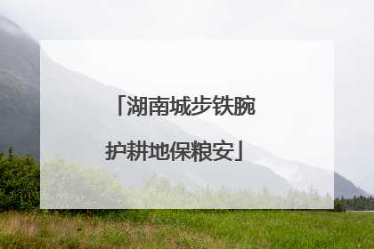 湖南城步铁腕护耕地保粮安
