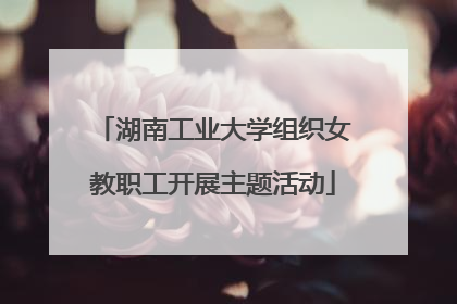 湖南工业大学组织女教职工开展主题活动
