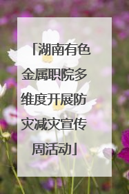 湖南有色金属职院多维度开展防灾减灾宣传周活动