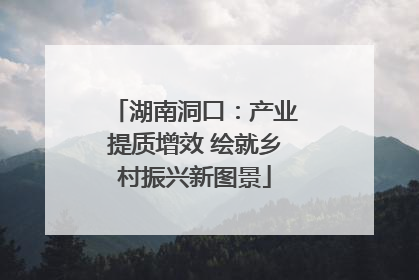 湖南洞口：产业提质增效 绘就乡村振兴新图景