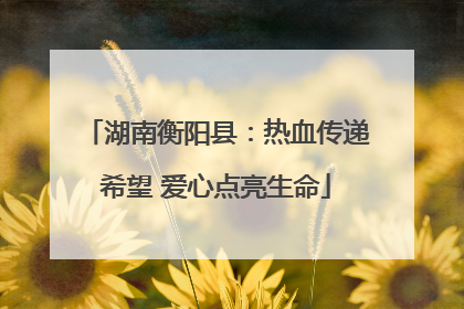 湖南衡阳县：热血传递希望 爱心点亮生命