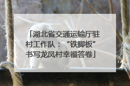 湖北省交通运输厅驻村工作队：“铁脚板”书写龙凤村幸福答卷