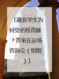 湖北学生为何受名校青睐？答案在这场咨询会（组图）