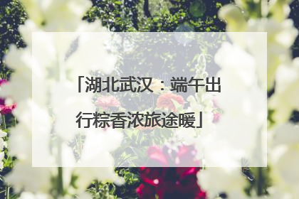 湖北武汉：端午出行粽香浓旅途暖