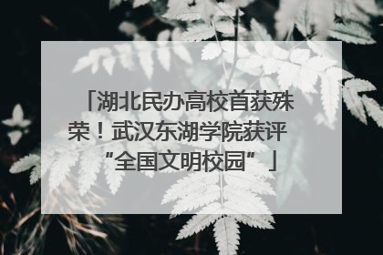 湖北民办高校首获殊荣！武汉东湖学院获评“全国文明校园”