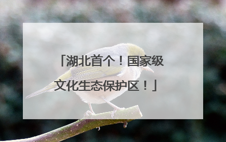 湖北首个！国家级文化生态保护区！