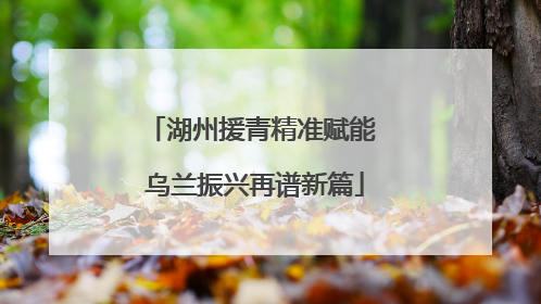 湖州援青精准赋能 乌兰振兴再谱新篇