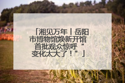 湘见万年丨岳阳市博物馆焕新开馆 首批观众惊呼“变化太大了！”