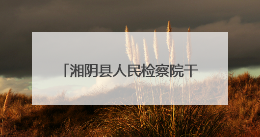 湘阴县人民检察院干警参加AI培训 开启智能办案新篇章