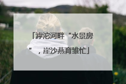 滹沱河畔“水景房”，崖沙燕育雏忙