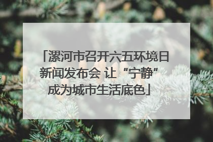 漯河市召开六五环境日新闻发布会 让“宁静”成为城市生活底色