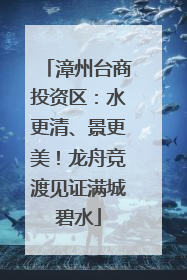 漳州台商投资区：水更清、景更美！龙舟竞渡见证满城碧水