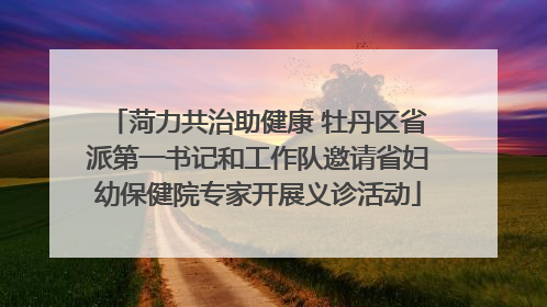 菏力共治助健康 牡丹区省派第一书记和工作队邀请省妇幼保健院专家开展义诊活动