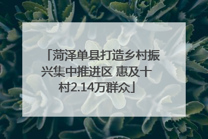 菏泽单县打造乡村振兴集中推进区 惠及十村2.14万群众