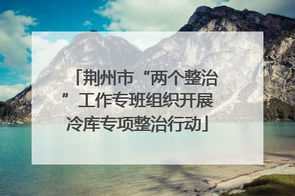 荆州市“两个整治”工作专班组织开展冷库专项整治行动