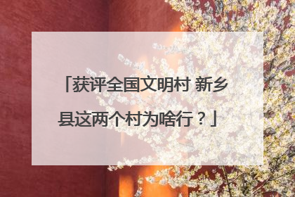 获评全国文明村 新乡县这两个村为啥行？