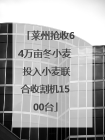 莱州抢收64万亩冬小麦 投入小麦联合收割机1500台