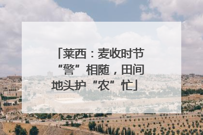 莱西：麦收时节“警”相随，田间地头护“农”忙
