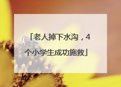 老人掉下水沟，4个小学生成功施救