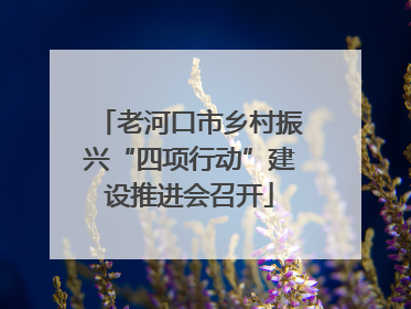 老河口市乡村振兴“四项行动”建设推进会召开