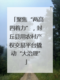聚焦“两高四着力”，封丘县用农村产权交易平台撬动“大治理”