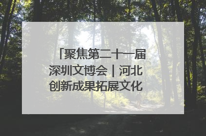 聚焦第二十一届深圳文博会｜河北创新成果拓展文化产业“朋友圈”