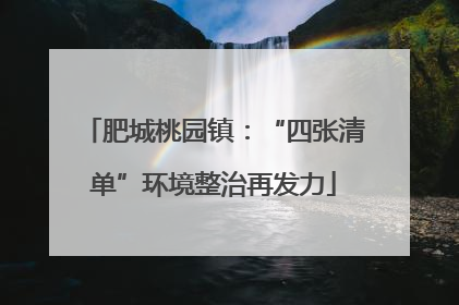 肥城桃园镇：“四张清单”环境整治再发力